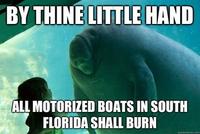 Overlord Manatee