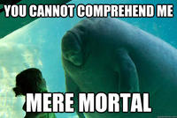 Overlord Manatee