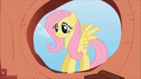 Pony Reactions