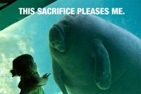 Overlord Manatee