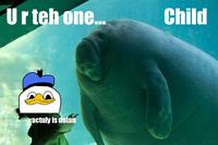 Overlord Manatee