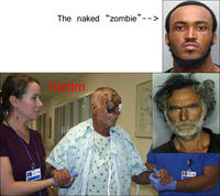 Miami Zombie