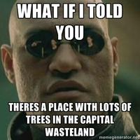 Matrix Morpheus