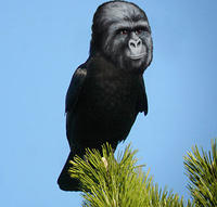 That Really Rustled My Jimmies