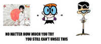 What Has Been Seen Cannot Be Unseen