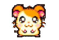 GIF
