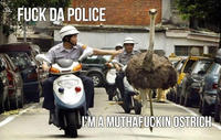 Fuck the Police