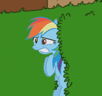 D26