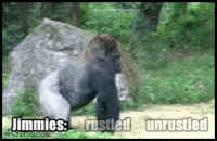 That Really Rustled My Jimmies