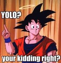 YOLO