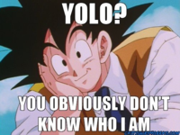 YOLO