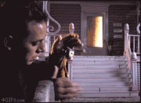 Stop Motion