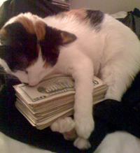 CashCats