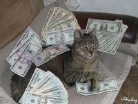 CashCats