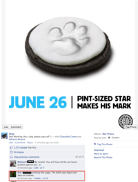 Oreo's Gay Pride Cookie Controversy
