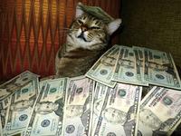 CashCats