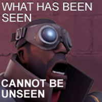 What Has Been Seen Cannot Be Unseen