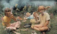 Wigglegrams