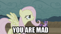 My Little Pony: Friendship is Magic