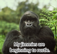 That Really Rustled My Jimmies