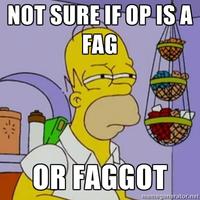 OP is a Faggot
