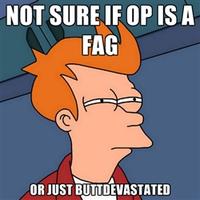 OP is a Faggot