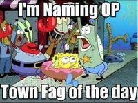 OP is a Faggot