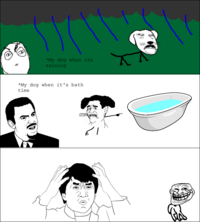 Women Logic