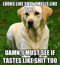 Women Logic