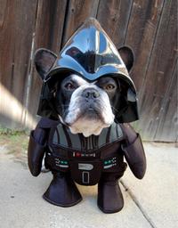 Cosplay