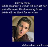 Actual Cannibal Shia LaBeouf
