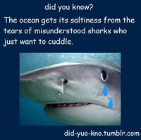 Did You Know?