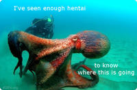 I've Seen Enough Hentai To Know Where This Is Going