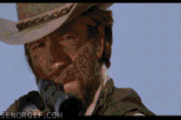 Chuck Norris