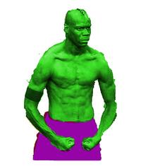 Mario Balotelli's Goal Celebration