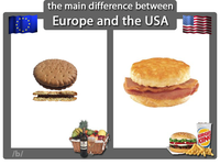 The Main Difference Between Europe and USA