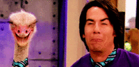 Reaction Faces