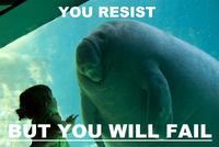 Overlord Manatee