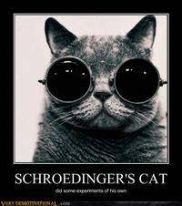Schrodinger's Cat
