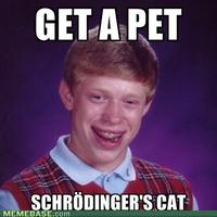 Schrodinger's Cat