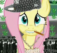 Smoke Weed Everyday