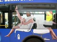 Perfectly Timed Photos