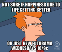 Futurama Fry / Not Sure If X