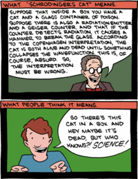 Schrodinger's Cat