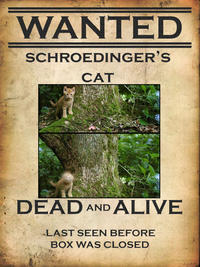 Schrodinger's Cat