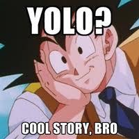 YOLO