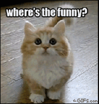 692.gif