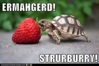 Ermahgerd