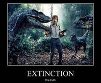 Chuck Norris Facts