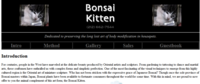 Bonsai Kittens
